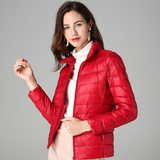 Lightweight Slim Fit Quilted Puffer Jacket