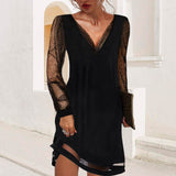 Sheer Sleeve V Neck Wrap Mini Dress