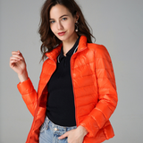 Lightweight Slim Fit Quilted Puffer Jacket