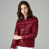 Lightweight Slim Fit Quilted Puffer Jacket